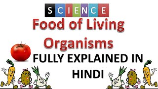 Food where does it come from | Food of living organisms | Food eaten by living organisms | #goalon