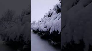 #russia #viral  #satisfying #trending #asmr #shortvideo #winter #shorts #snow