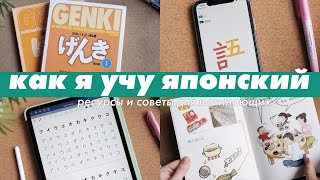 Как я учу японский c нуля | учебники, сайты, приложения и подкасты