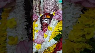 Tarapith Maa Tara Darshan | Tara Mata | #shorts #ytshorts #shortvideos #viralshorts #viralvideos