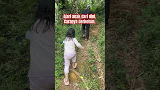 Jangan takut buat ke kebun nak, walau di kebun banyak nyamuk