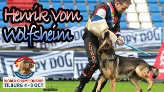 WUSV 2017 David Buss Henrik Vom Wolfsheim C Protection 91pts