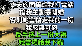 丈夫的同事給我打電話，讓我主動提離婚，否則她會搶走我的一切，我忍無可忍，反手送上一份大禮，她當場給我下跪【人間清醒】#家庭倫理#婆媳關系#生活伦理#小说故事#落日溫情 #花開富貴 #深夜淺讀