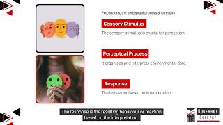 Describe Perceptions and the Perceptual Process and the Distortions as a Result (LU3/LO5)