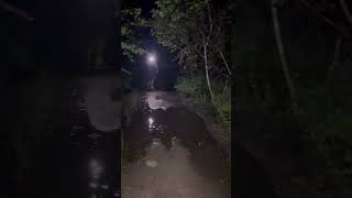 How (not) to jump a puddle #trending #waterbody #nature #explore #night #funny  #youtubeshorts