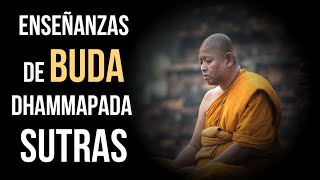 ENSEÑANZAS DE BUDA- Sabias frases de Buda para REFLEXIONAR E INTERNALIZAR-Dhammapada-Sutras