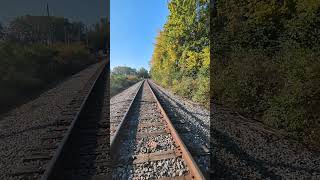 Morning 🌞 walk on train 🚂 tracks 🛤️#michaeljackson