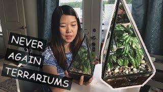 when the aluminum plant outgrows its terrarium