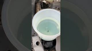 Radiator coolant bleeding