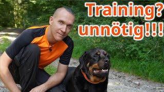 Unglaublich aber wahr! Warum klassisches Hundetraining Dich und Deinen Hund nicht weiter bringt!