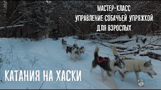 Мастер класс катания на упряжке хаски для взрослых по лесной трассе. Дом Хаски Сергиев Посад