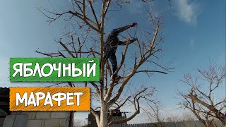 Стрижка деревьев // Приказано - подстричь!