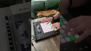 Jazz Piano for the Evening | New Music on the Ableton Push 2