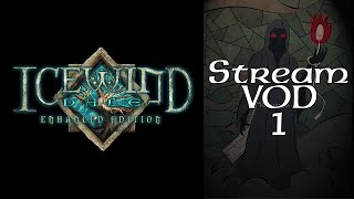 Stream Play - Icewind Dale: Enhanced Edition - 01 Ready to Do Adventuring and Stuff (Part 1 of 4)