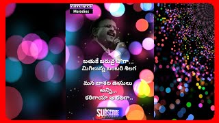 ఎన్నెన్నో జన్మల దాక/ shortlyrics/sp balu/vishnu lyrical melodies