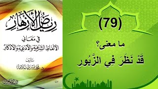 (79) معنى: قد نظر في الزبور - رياض الأزهار - محمد يسري سلامة