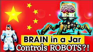 Your Brain in a Robot?! The UNBELIEVABLE Power of Biocomputers