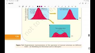 Mechanism of evolution