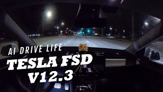 V12.3 | TESLA | FSD(Full Self-Driving) | First-time driving(Night)