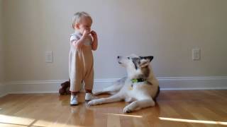 Baby plays harmonica to singing dog