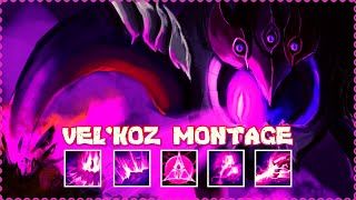 Vel'koz Montage - Mid or Support