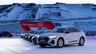 Audi ice experience 2021