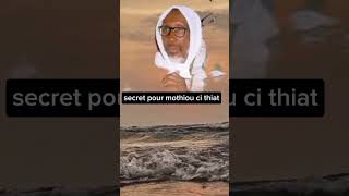 secret thiat cheikh mouhdin samba Diallo #lislam #religion #savior