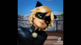 Cat noir the savage