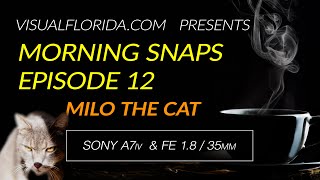 Episode 12 Milo the Cat