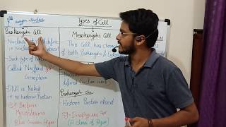 Types of cell ( Prokaryotic , Mesokaryotic & Eukaryotic) English Medium