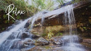 Soothing Music for Stress Relief Anxiety and Depression Rejuvenate Your Mind Body and Soul