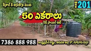 50 ACRES FARM LAND FOR SALE || 13 LAKHS || 130 KM FROM CHENNAI || 7386888988 || #MEDHANSHI|| MRE-201