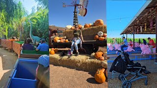 Huerto de calabaza uno de los mejores para niños y grandes