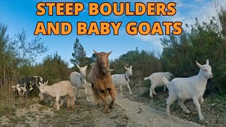 Cutest Baby Goats Slide Down Steep Boulders | 4K - FARMLIFE