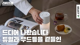 듀얼 가습기 그리고 무드등까지 곁들인 #라이프썸