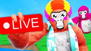 Gorilla tag live🔴Playing with viewers!🔴Tag Minigames and more💌Road to 20k🔴