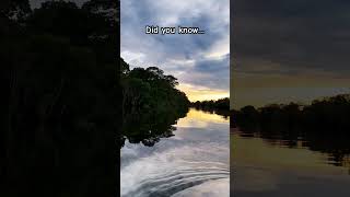 Sailing on the Amazon #travel #nature #beautiful #shorts