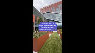 Sensory Gardens at UPMC Mercy Pavilion