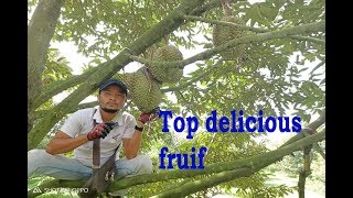 Top Delicious Fruits in Asia / Durian Fruit Eating Khmer / Fruit High Vitamin is Durian Fruit