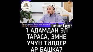 1 адамдан эл тараса, эмне үчүн тилдер ар башка? Субханаллах | шейх Чубак ажы