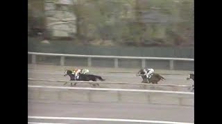 1987 Gotham Stakes