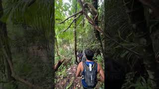 Kem Baha, Gunung Stong, Dabong, Kelantan #hiking #cave #tour #explore #visit #kembaha #stong #dabong