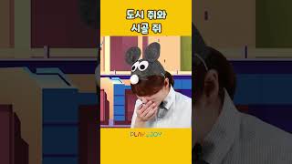 시골 쥐에게 도시에서의 삶을 자랑하는 도시 쥐 🐭 | 플레이앤조이, PlayNJoy