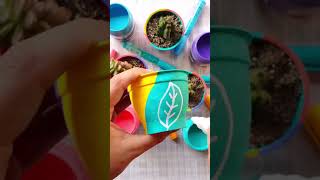 Macetitas Recicladas! 🌱 Cómo hacer macetas recicladas y personalizadas con Lettering Art