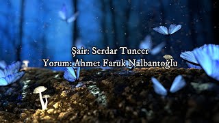 Senin uğruna senden vazgeçtim | Serdar Tuncer