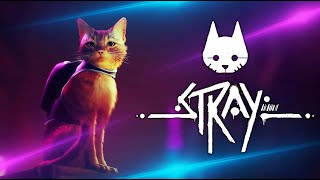 СМОТРИ НА КОТИКА в Stray