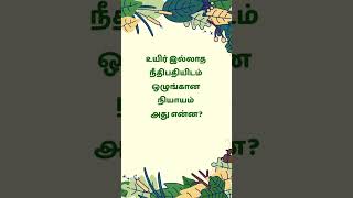 💥கண்டுபிடி💥#shorts #shortsfeed #tamil #ytshorts #diy #riddles #enjoy #funny #video #viral #yt