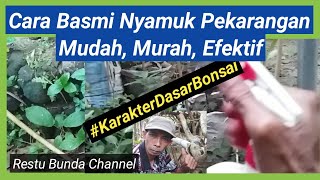 Cara basmi nyamuk pekarangan rumah, mudah,murah, efektif #KarakterDasarBonsai