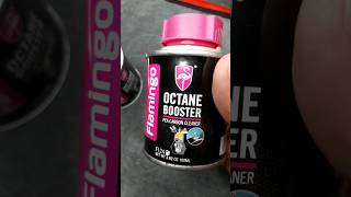 Flamingo Octane Booster #bike #shorts