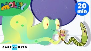 Acampar com os Extraterrestres | Compilação Bicho e Manny | Desenhos infantis | Cartoonito